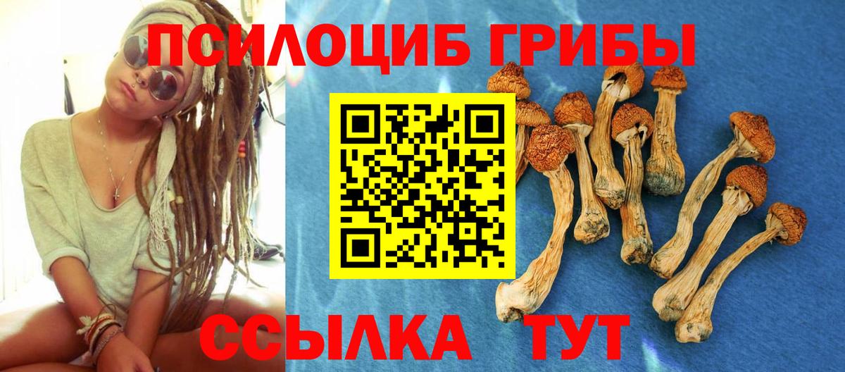 Псилоцибиновые грибы Psilocybine cubensis  Псилоцибиновые грибы мухоморы  Конаково  Вход с VPN 
