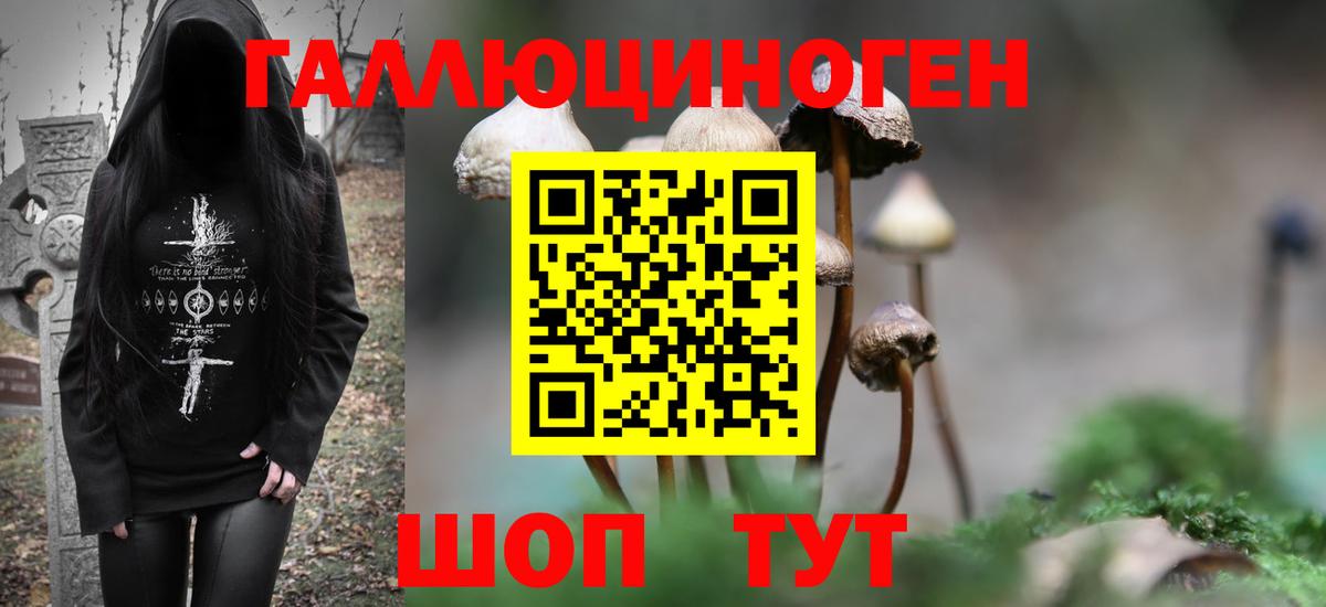 Псилоцибиновые грибы Psilocybine cubensis Конаково